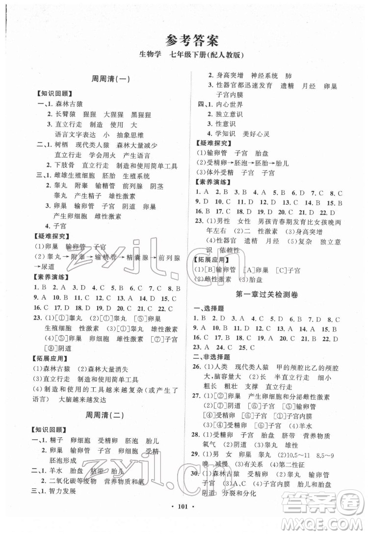 山東教育出版社2022初中同步練習冊分層卷生物學七年級下冊人教版答案