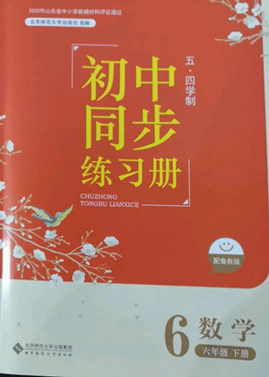 北京師范大學(xué)出版社2022初中同步練習(xí)冊(cè)數(shù)學(xué)六年級(jí)下冊(cè)五四學(xué)制魯教版答案