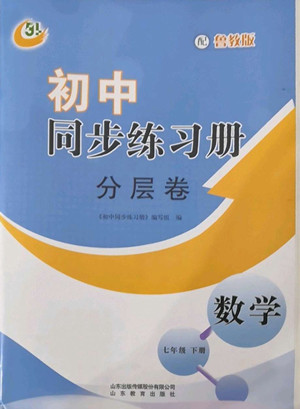 山東教育出版社2022初中同步練習(xí)冊分層卷數(shù)學(xué)七年級下冊魯教版答案