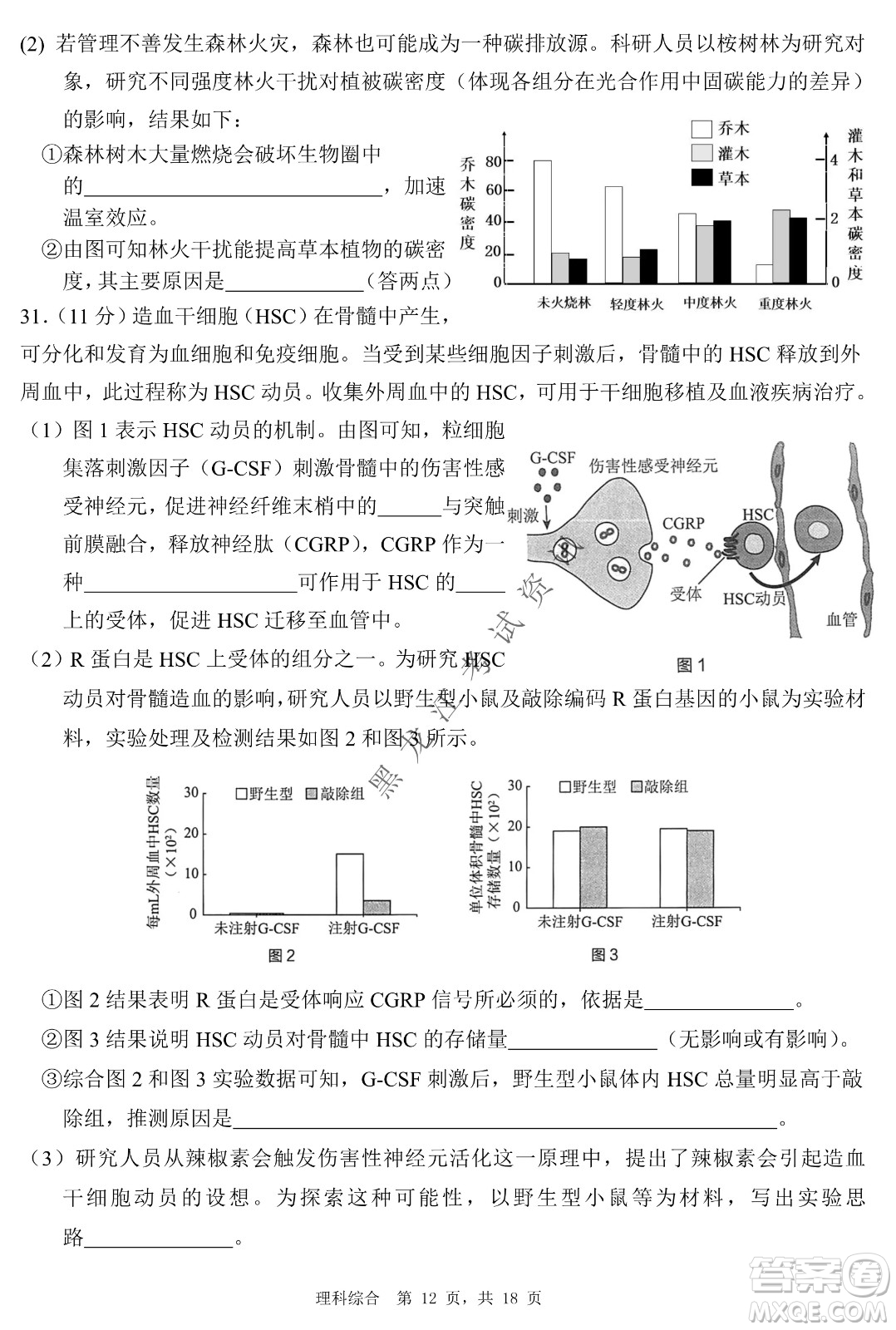 2022年哈三中第二次高考模擬考試?yán)砭C試卷及答案