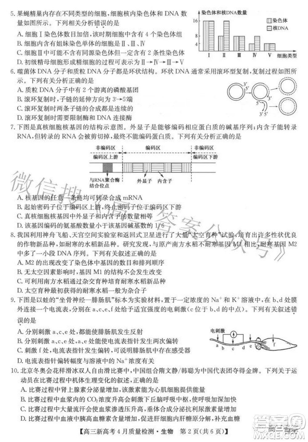 2022九師聯盟高三新高考4月質量檢測生物試題及答案