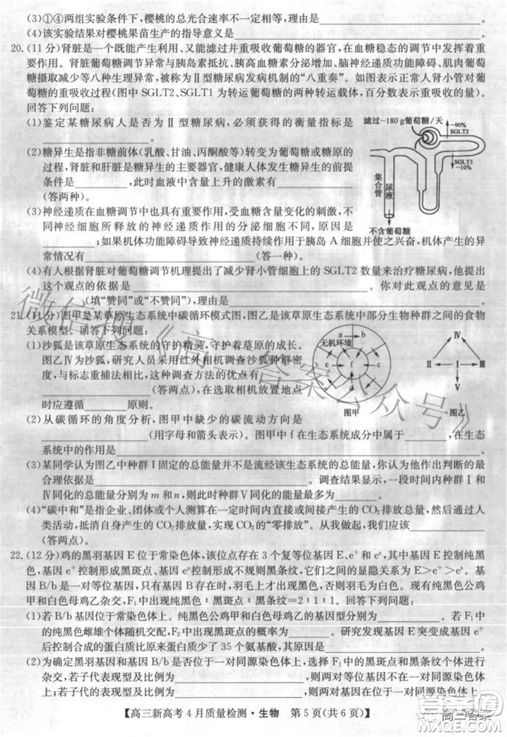 2022九師聯盟高三新高考4月質量檢測生物試題及答案