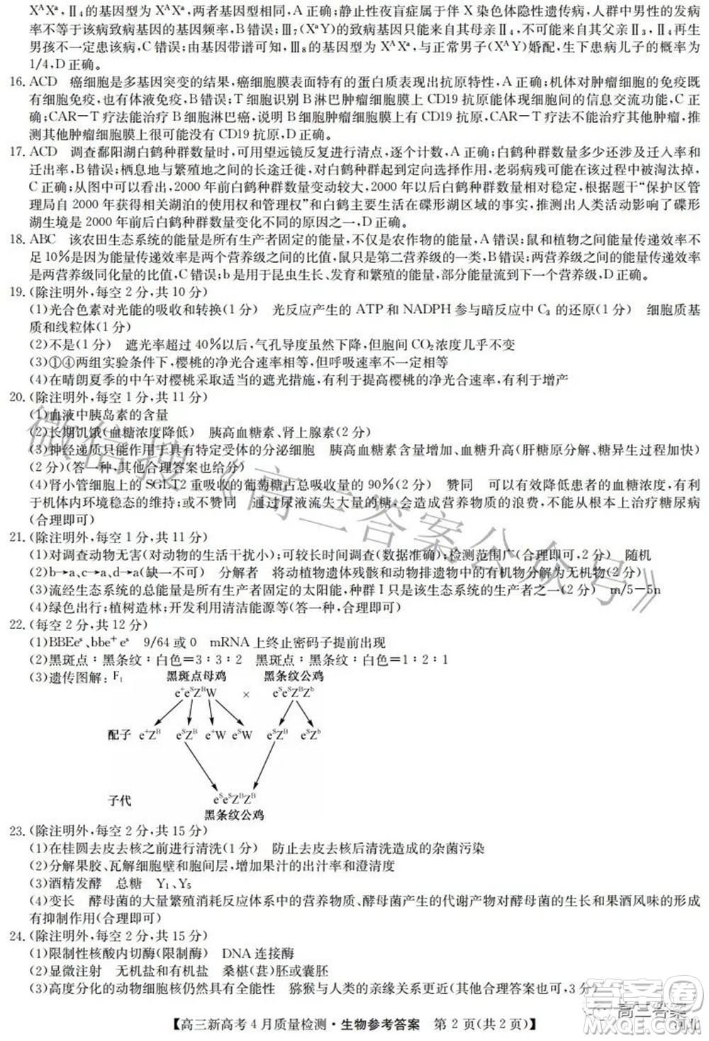 2022九師聯盟高三新高考4月質量檢測生物試題及答案