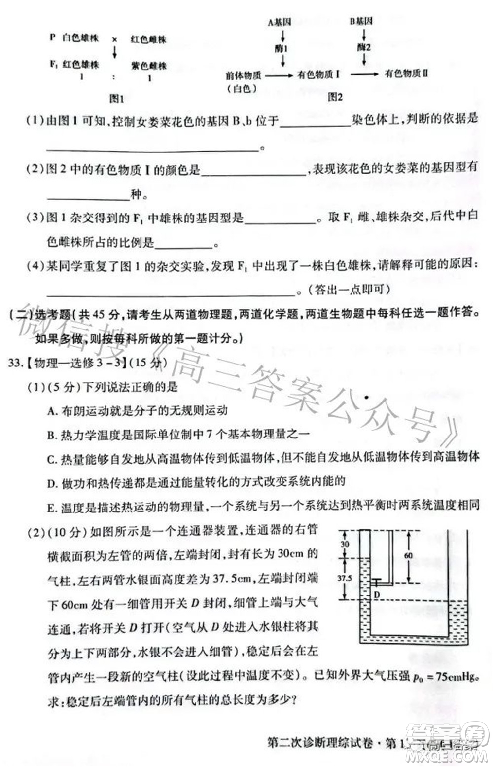 2022年甘肅省第二次高考診斷考試?yán)砜凭C合試題及答案