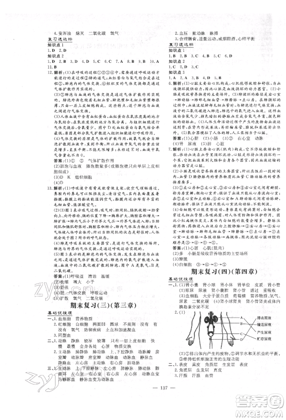 吉林教育出版社2022練案課時(shí)作業(yè)本七年級(jí)下冊(cè)生物學(xué)濟(jì)南版參考答案