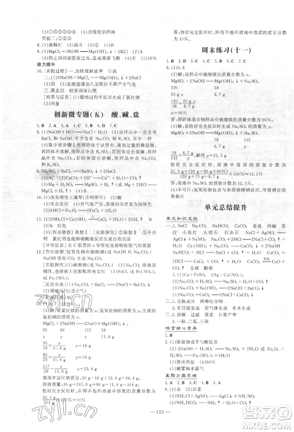 吉林教育出版社2022練案課時作業(yè)本九年級下冊化學人教版參考答案