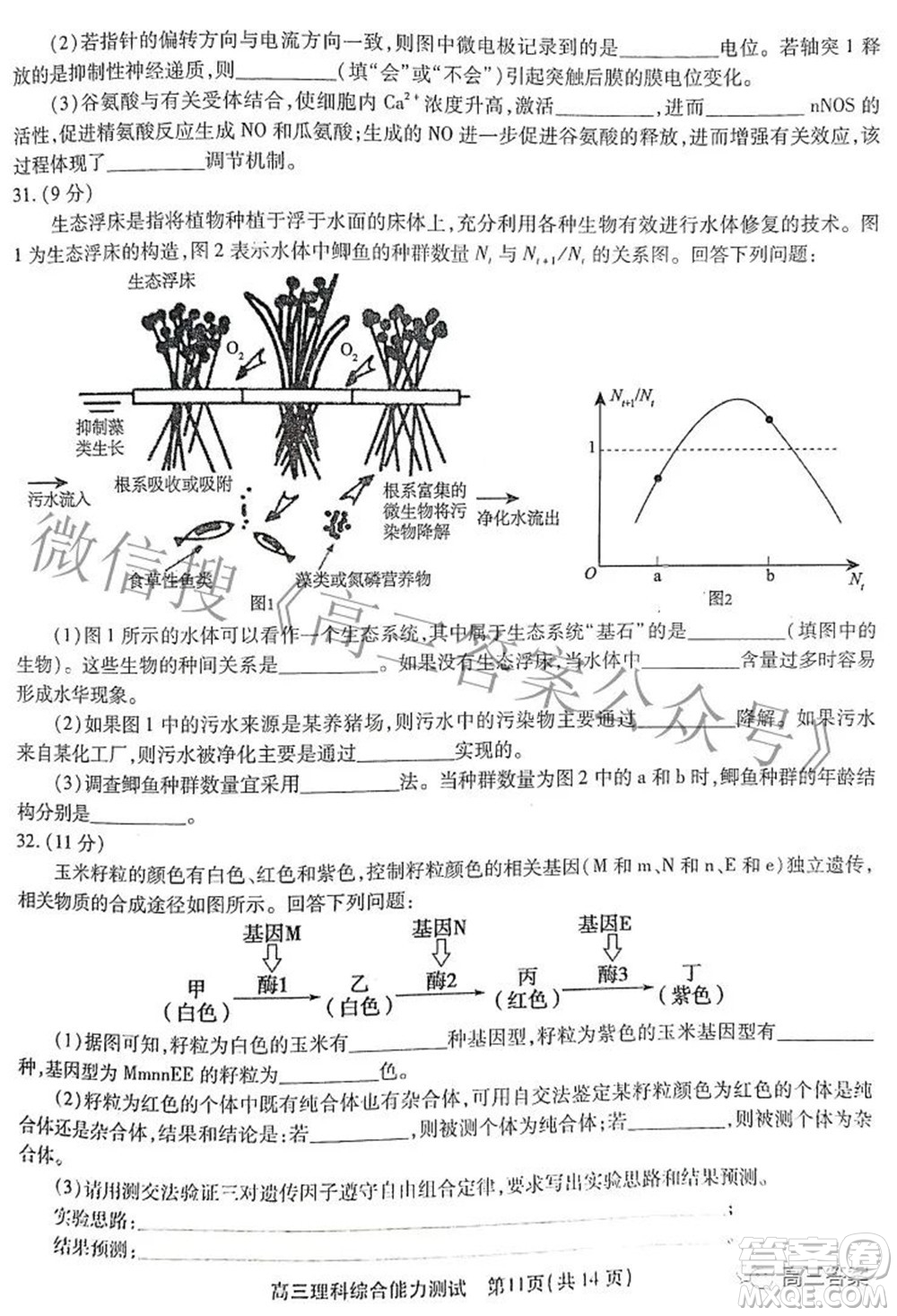 安徽省鼎尖聯(lián)盟2022屆4月聯(lián)考高三理科綜合試題及答案