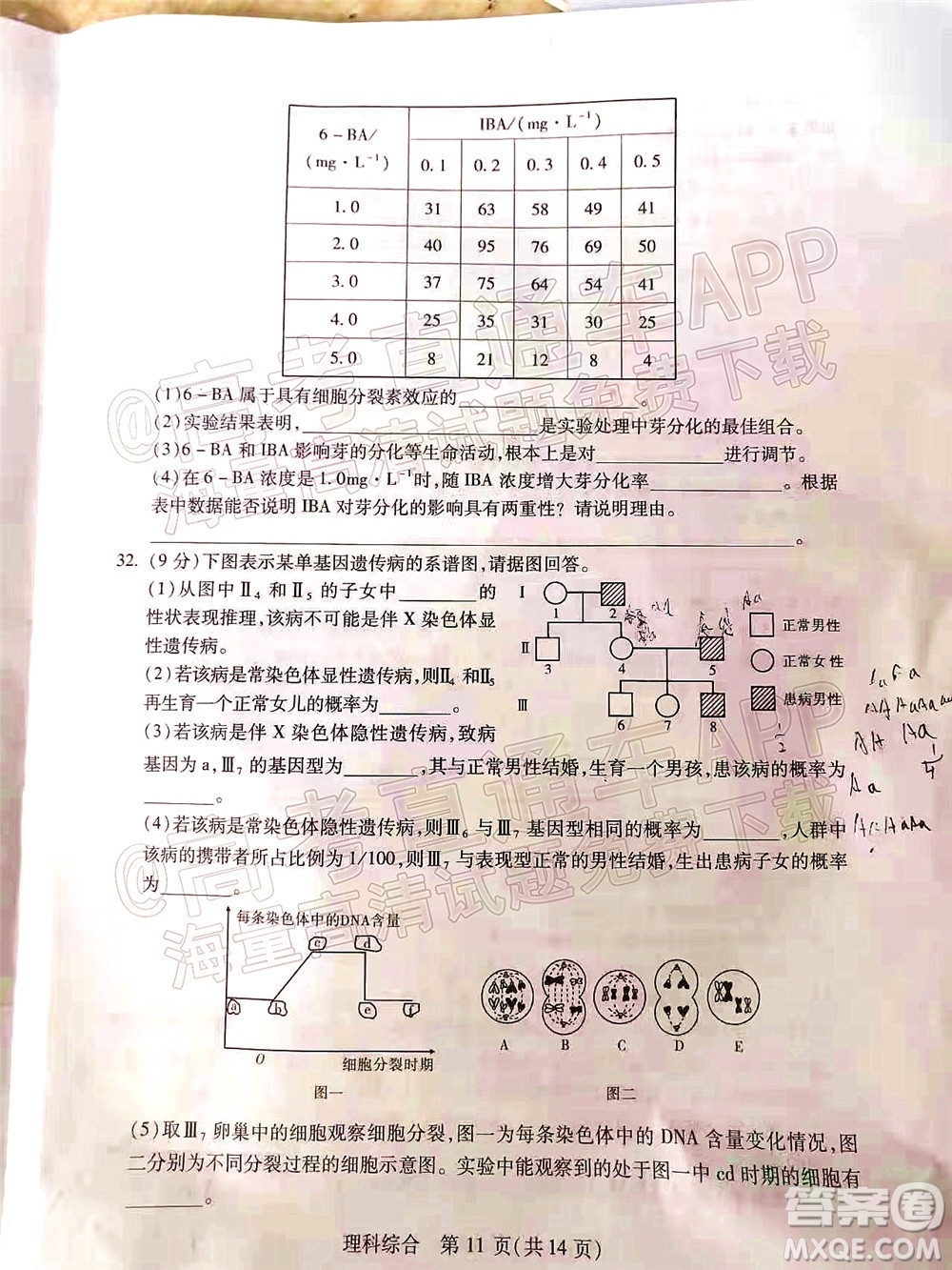 2022年寶雞市高考模擬檢測三理科綜合試題及答案