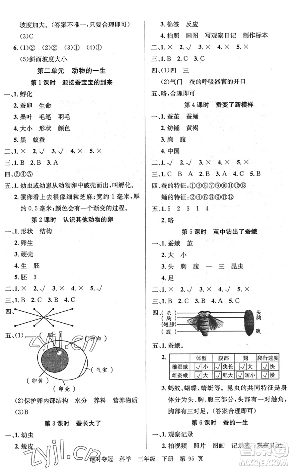 新疆科學(xué)技術(shù)出版社2022課時(shí)奪冠三年級(jí)科學(xué)下冊(cè)JK教科版答案