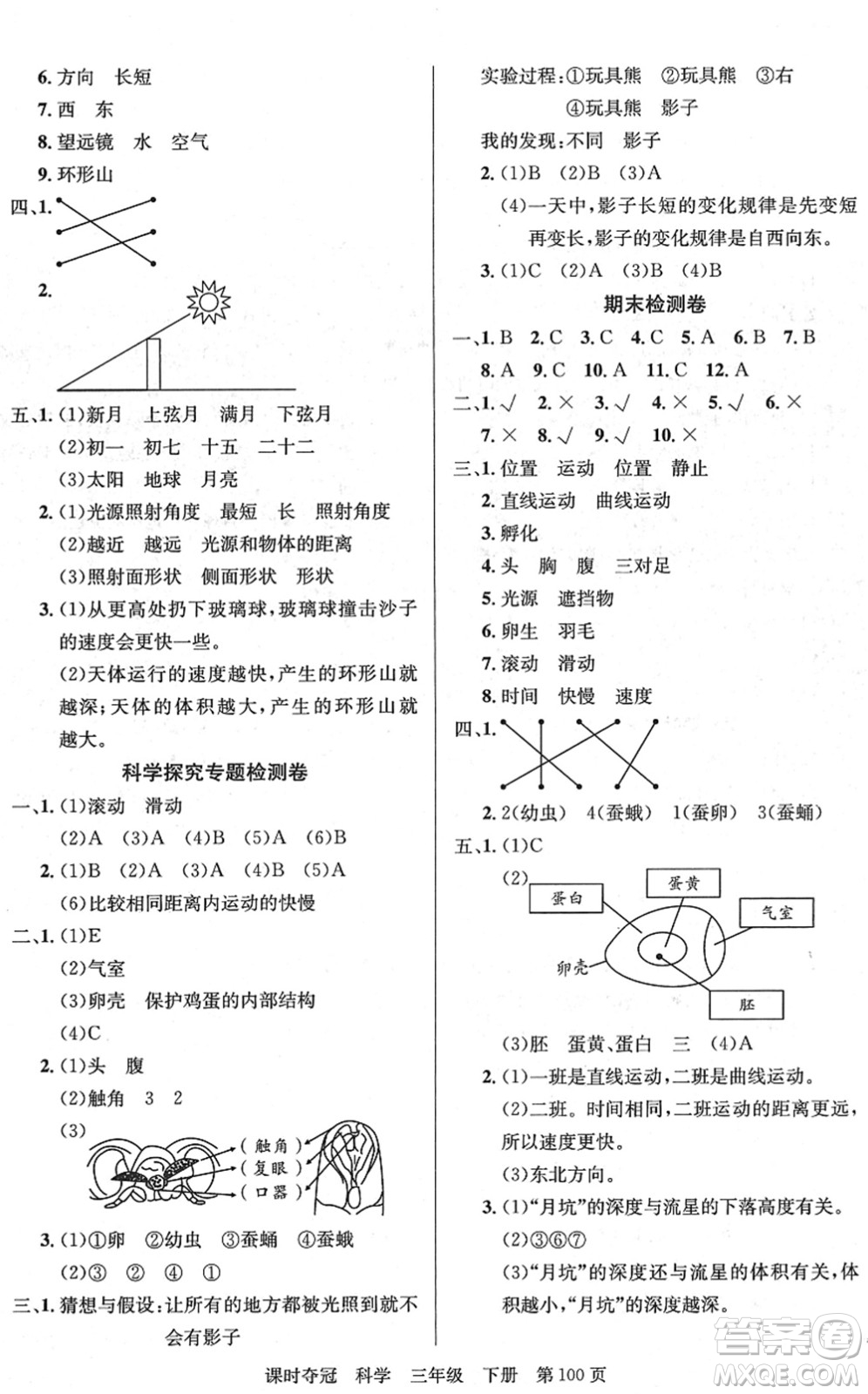 新疆科學(xué)技術(shù)出版社2022課時(shí)奪冠三年級(jí)科學(xué)下冊(cè)JK教科版答案