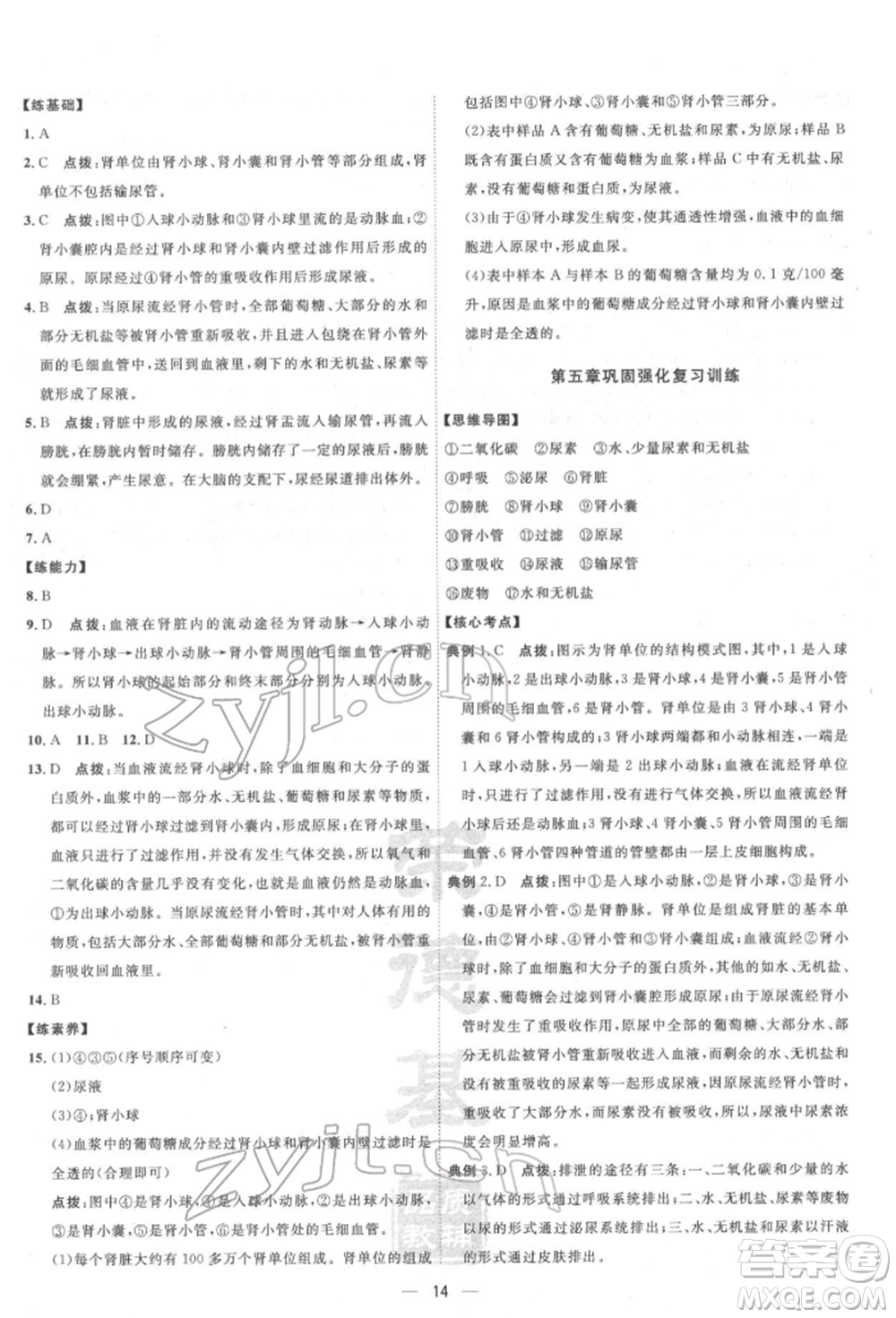 吉林教育出版社2022點(diǎn)撥訓(xùn)練課時(shí)作業(yè)本七年級(jí)下冊(cè)生物人教版參考答案