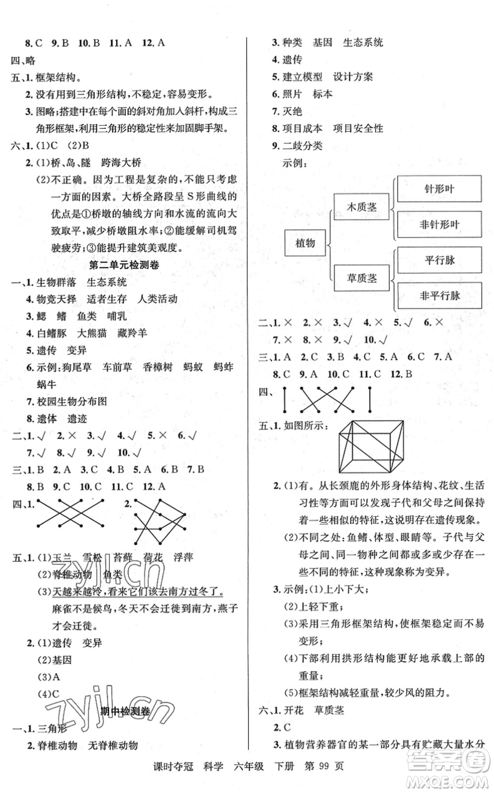 新疆科學(xué)技術(shù)出版社2022課時(shí)奪冠六年級(jí)科學(xué)下冊(cè)JK教科版答案