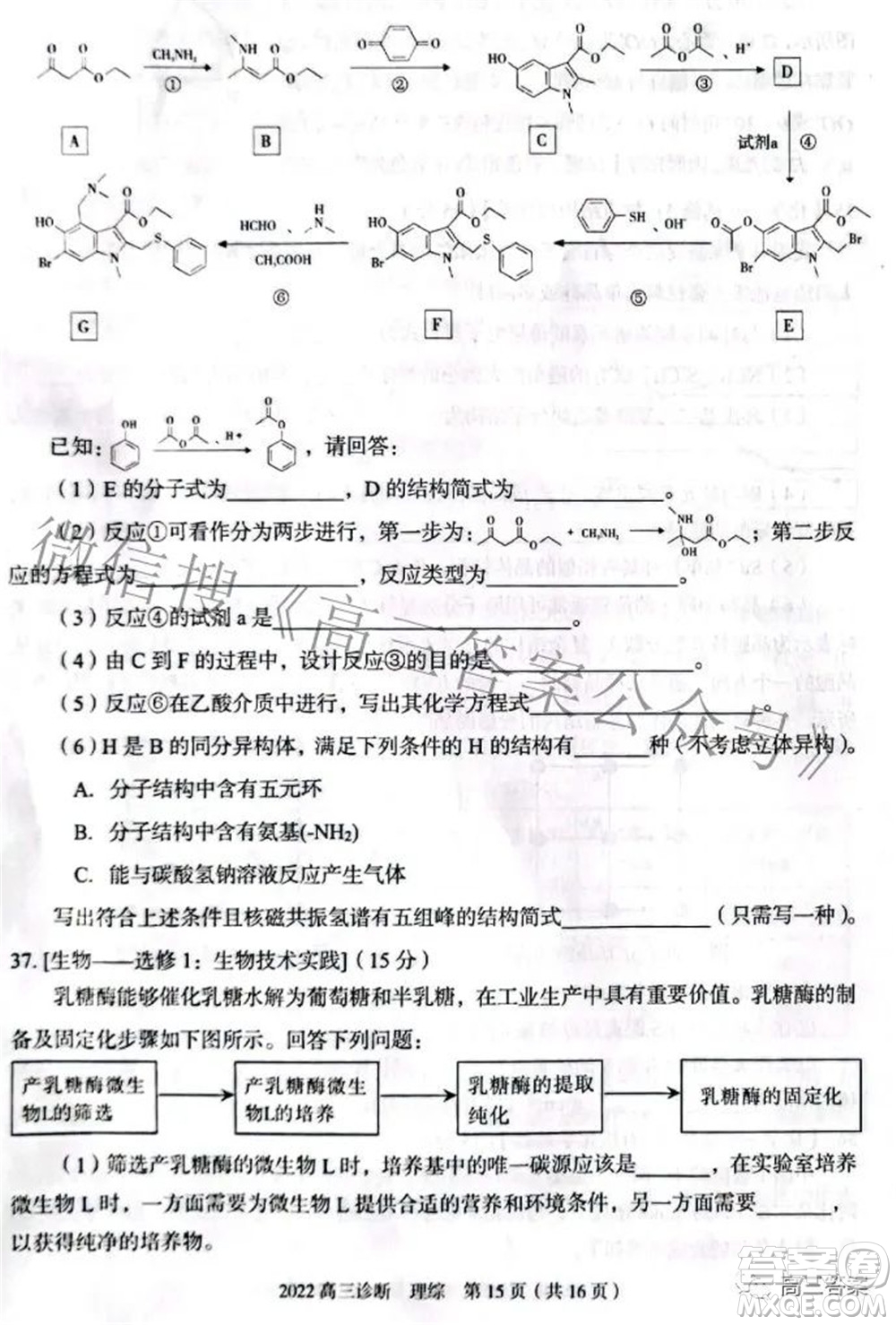 2022年4月蘭州市高三診斷考試?yán)砜凭C合試題及答案