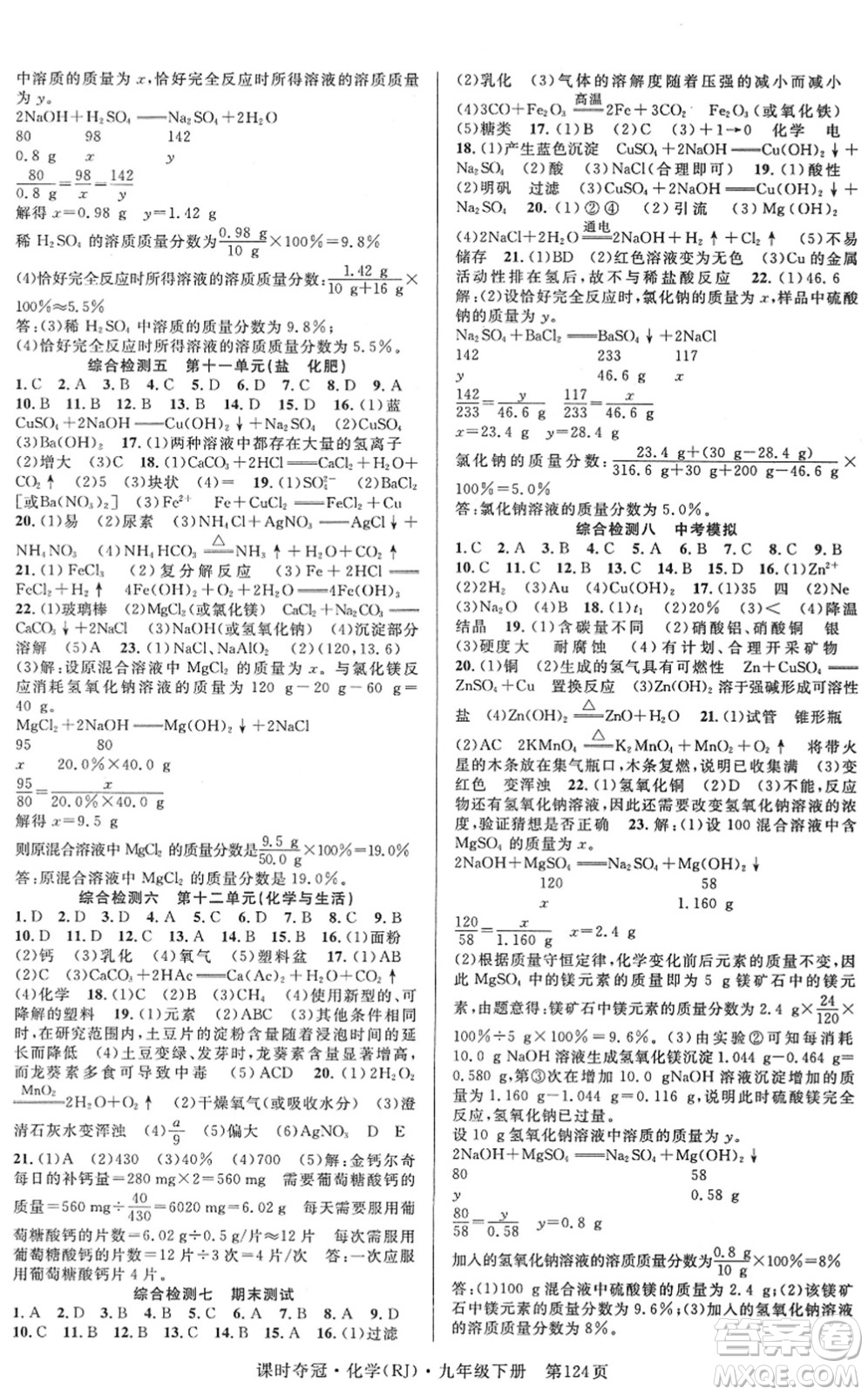 安徽師范大學(xué)出版社2022課時(shí)奪冠九年級(jí)化學(xué)下冊(cè)RJ人教版答案