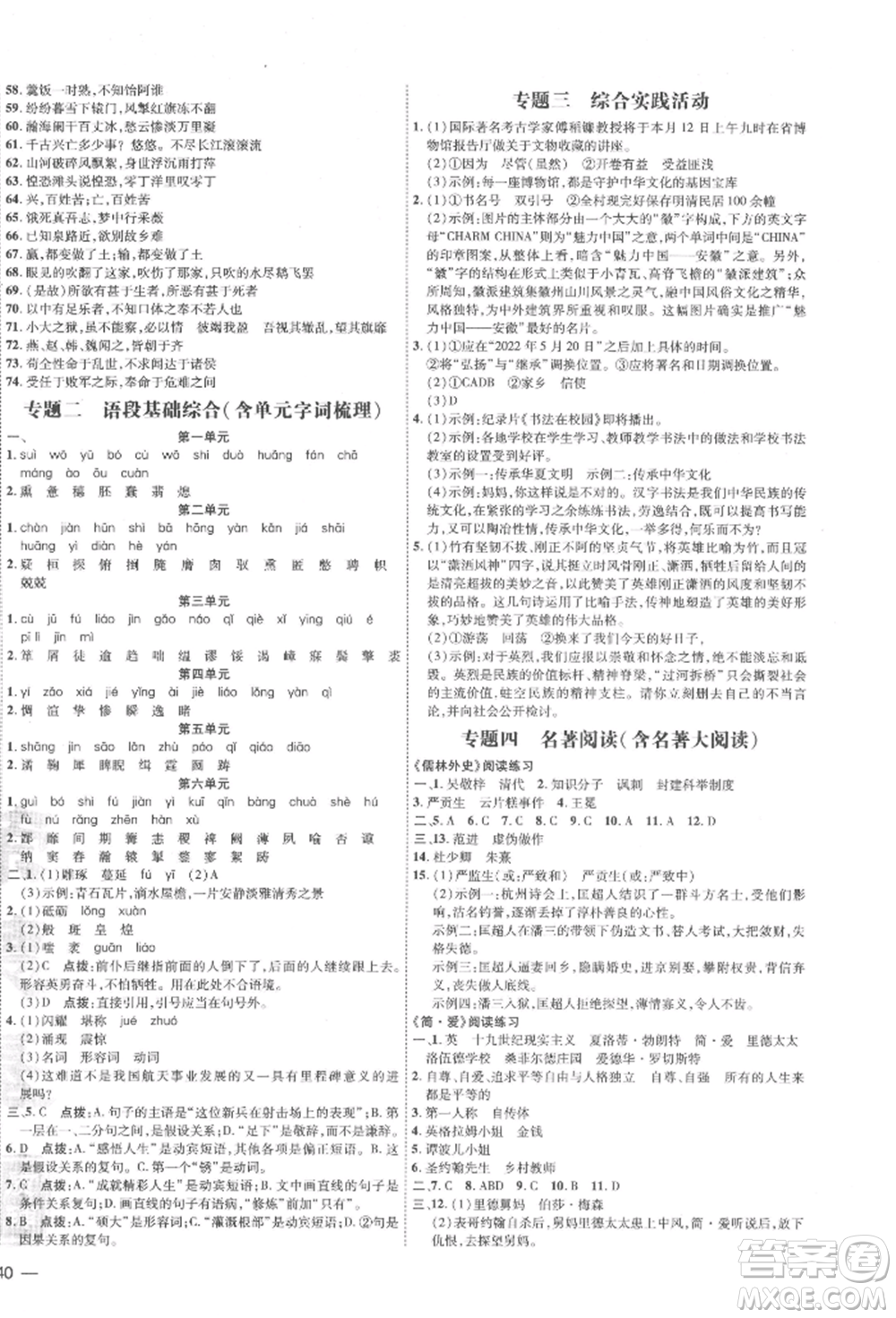 安徽教育出版社2022點(diǎn)撥訓(xùn)練課時作業(yè)本九年級下冊語文人教版安徽專版參考答案