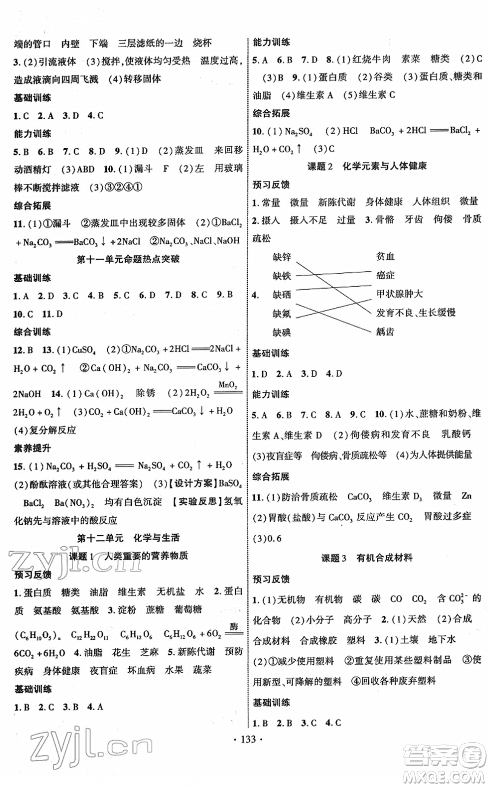 新疆文化出版社2022課時(shí)掌控九年級(jí)化學(xué)下冊(cè)RJ人教版答案