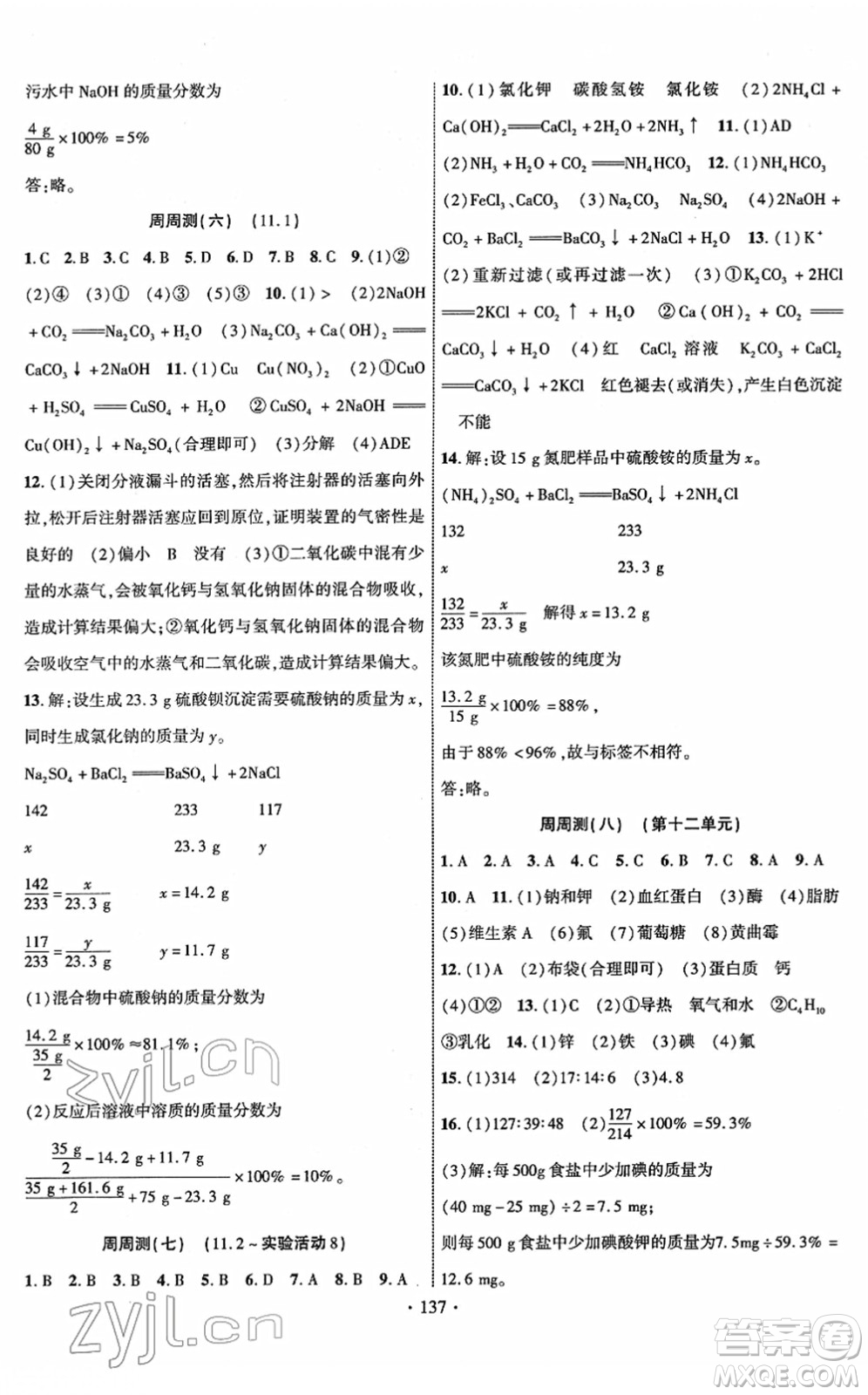 新疆文化出版社2022課時(shí)掌控九年級(jí)化學(xué)下冊(cè)RJ人教版答案