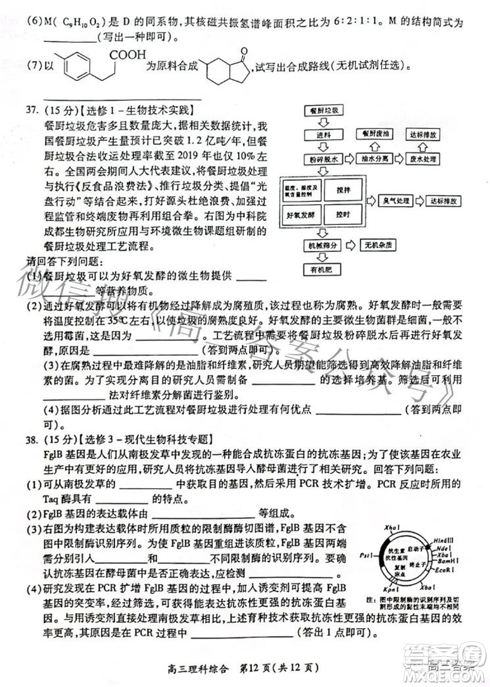 廣西四市2022屆高中畢業(yè)班4月教學質量檢測試題理科綜合試題及答案