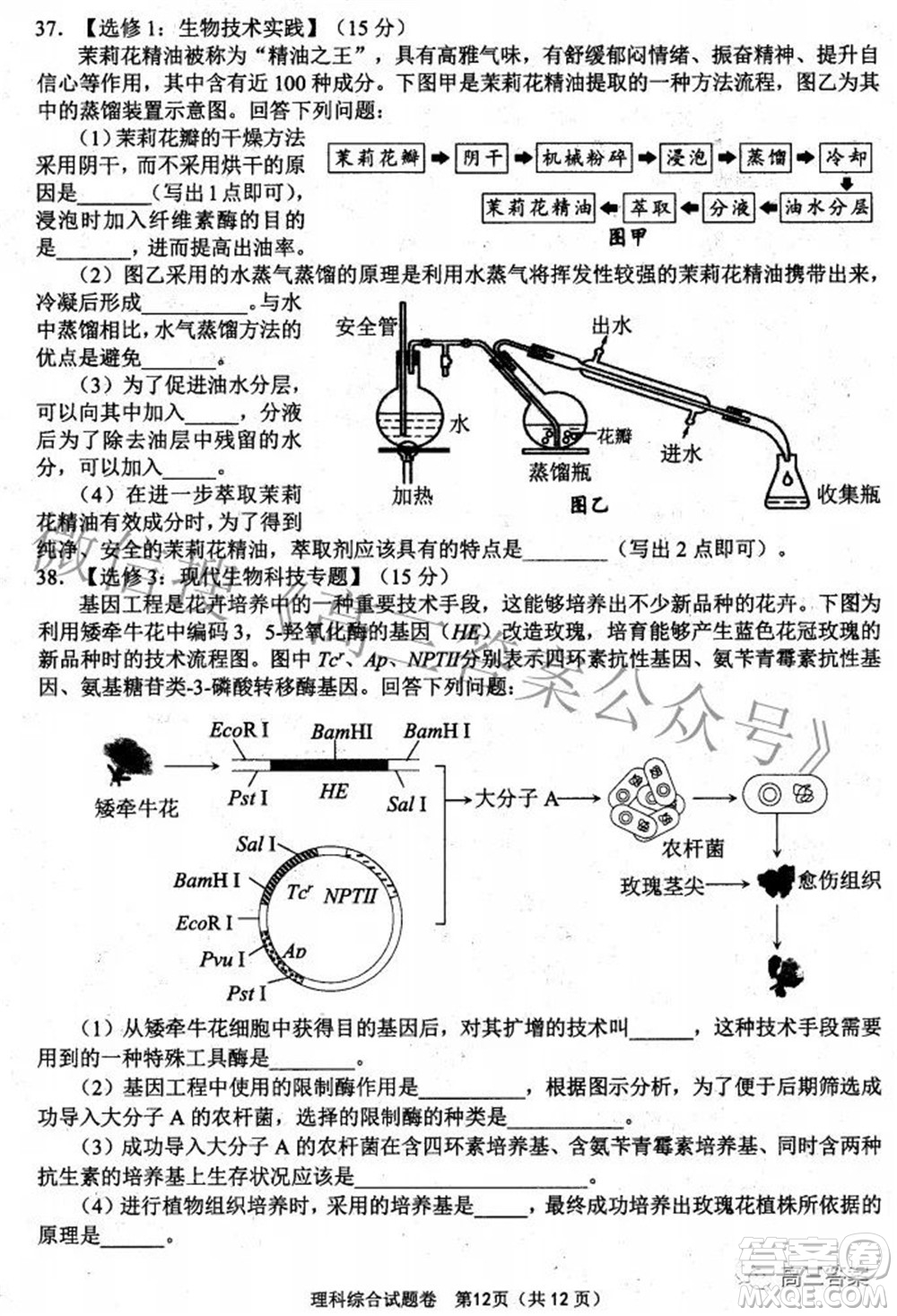 綿陽(yáng)市高中2019級(jí)第三次診斷性考試?yán)砜凭C合試題及答案