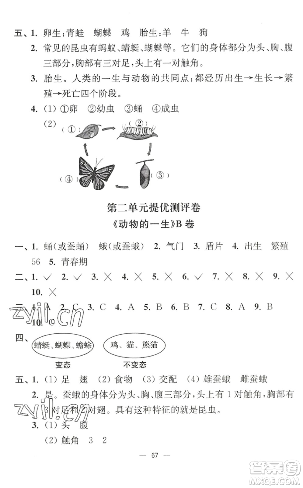 延邊大學(xué)出版社2022江蘇好卷三年級(jí)科學(xué)下冊(cè)教科版答案