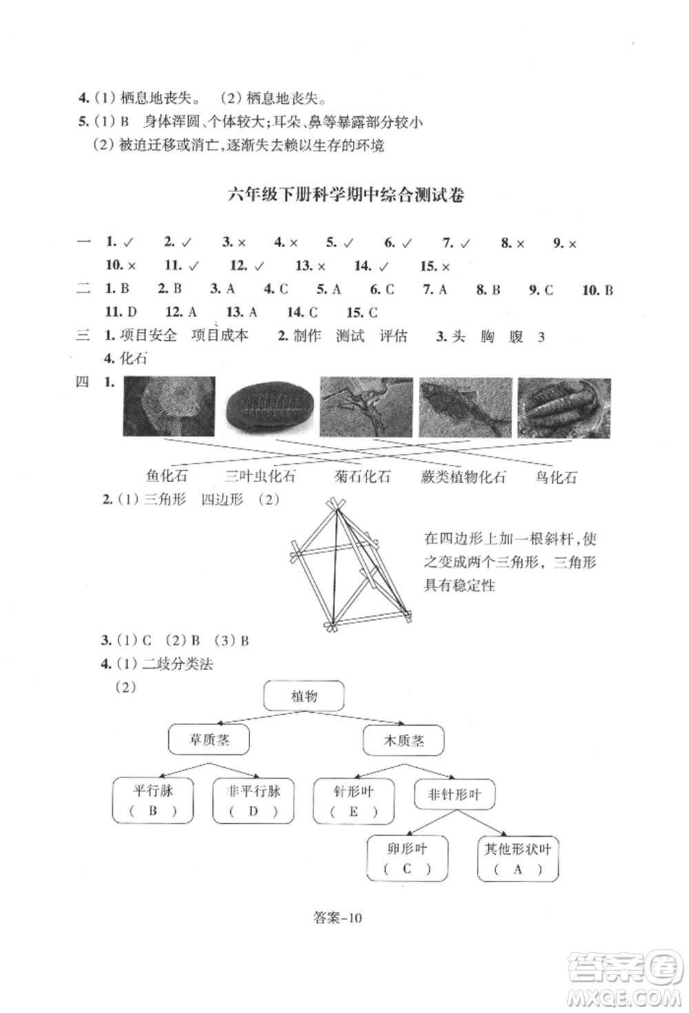 浙江少年兒童出版社2022每課一練六年級(jí)下冊(cè)科學(xué)教科版參考答案