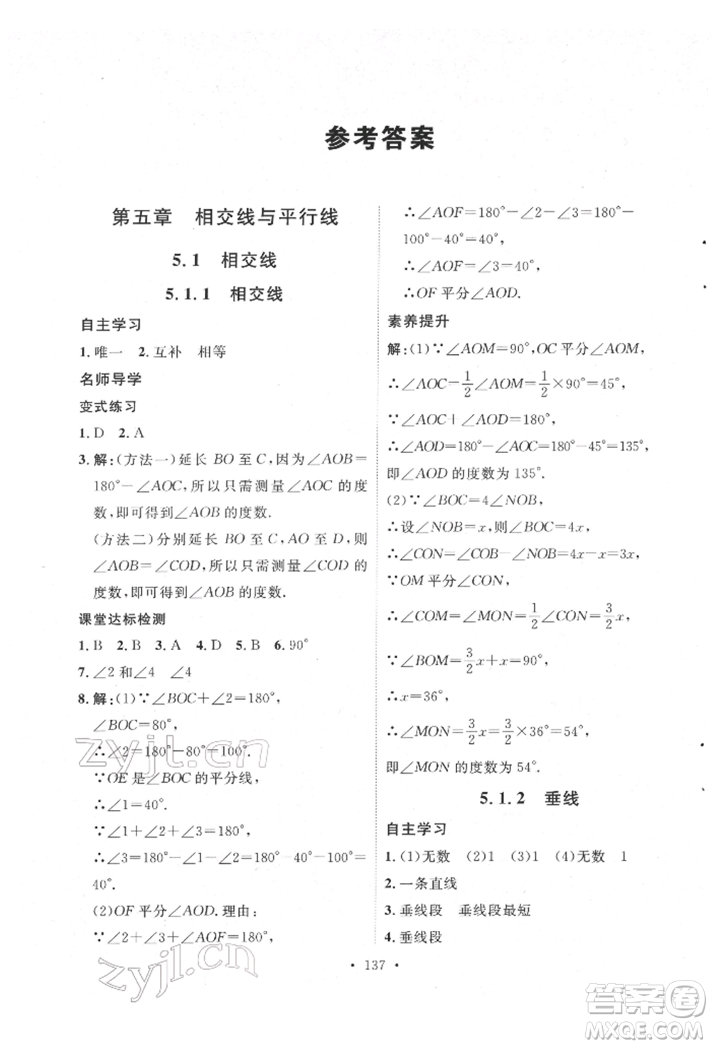 陜西人民出版社2022實(shí)驗(yàn)教材新學(xué)案七年級(jí)下冊(cè)數(shù)學(xué)人教版參考答案