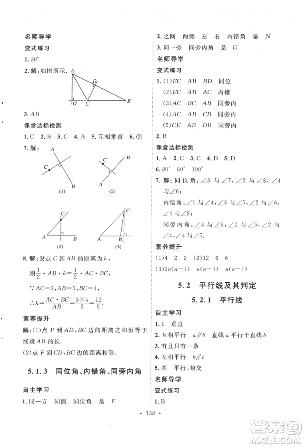 陜西人民出版社2022實(shí)驗(yàn)教材新學(xué)案七年級(jí)下冊(cè)數(shù)學(xué)人教版參考答案