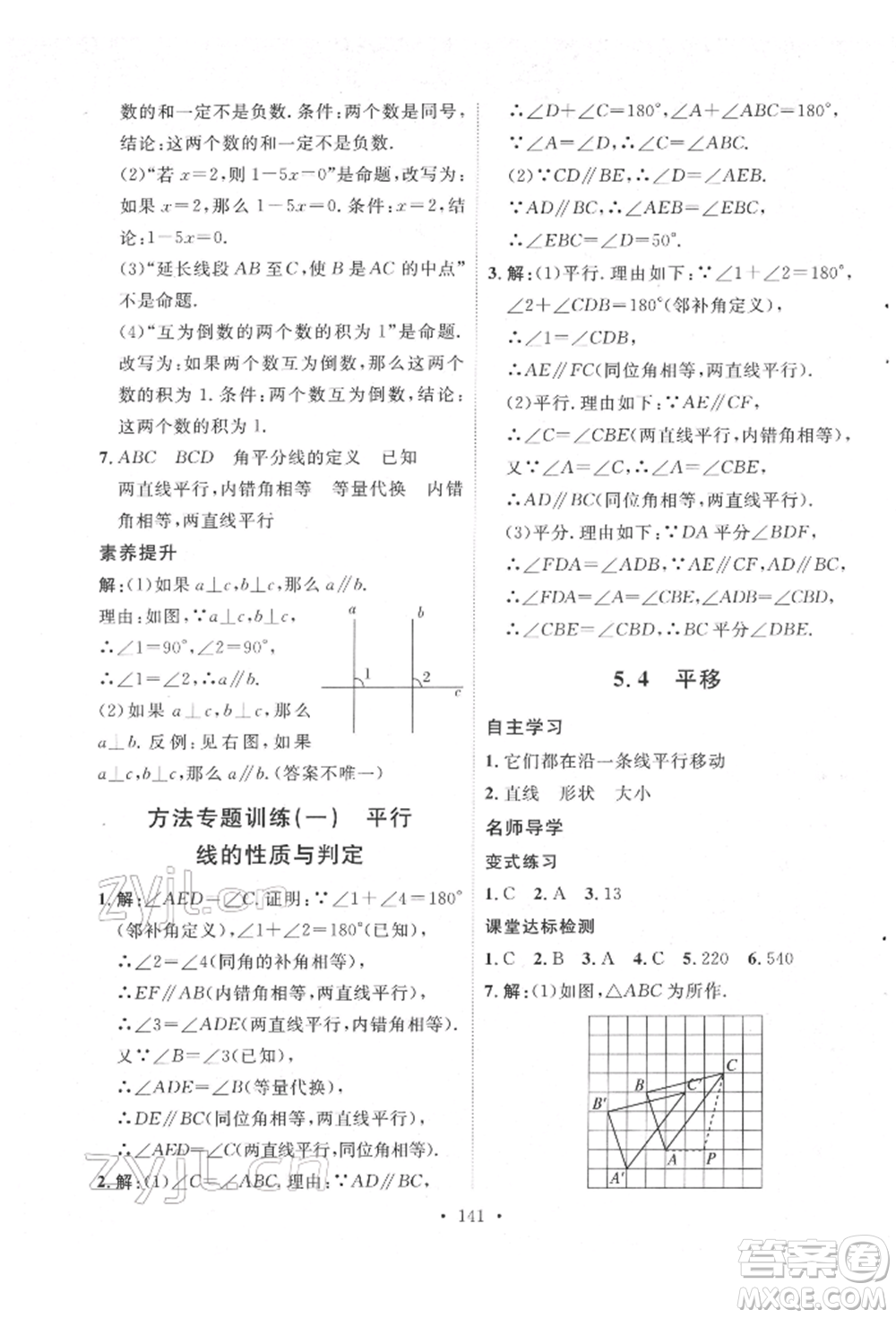 陜西人民出版社2022實(shí)驗(yàn)教材新學(xué)案七年級(jí)下冊(cè)數(shù)學(xué)人教版參考答案