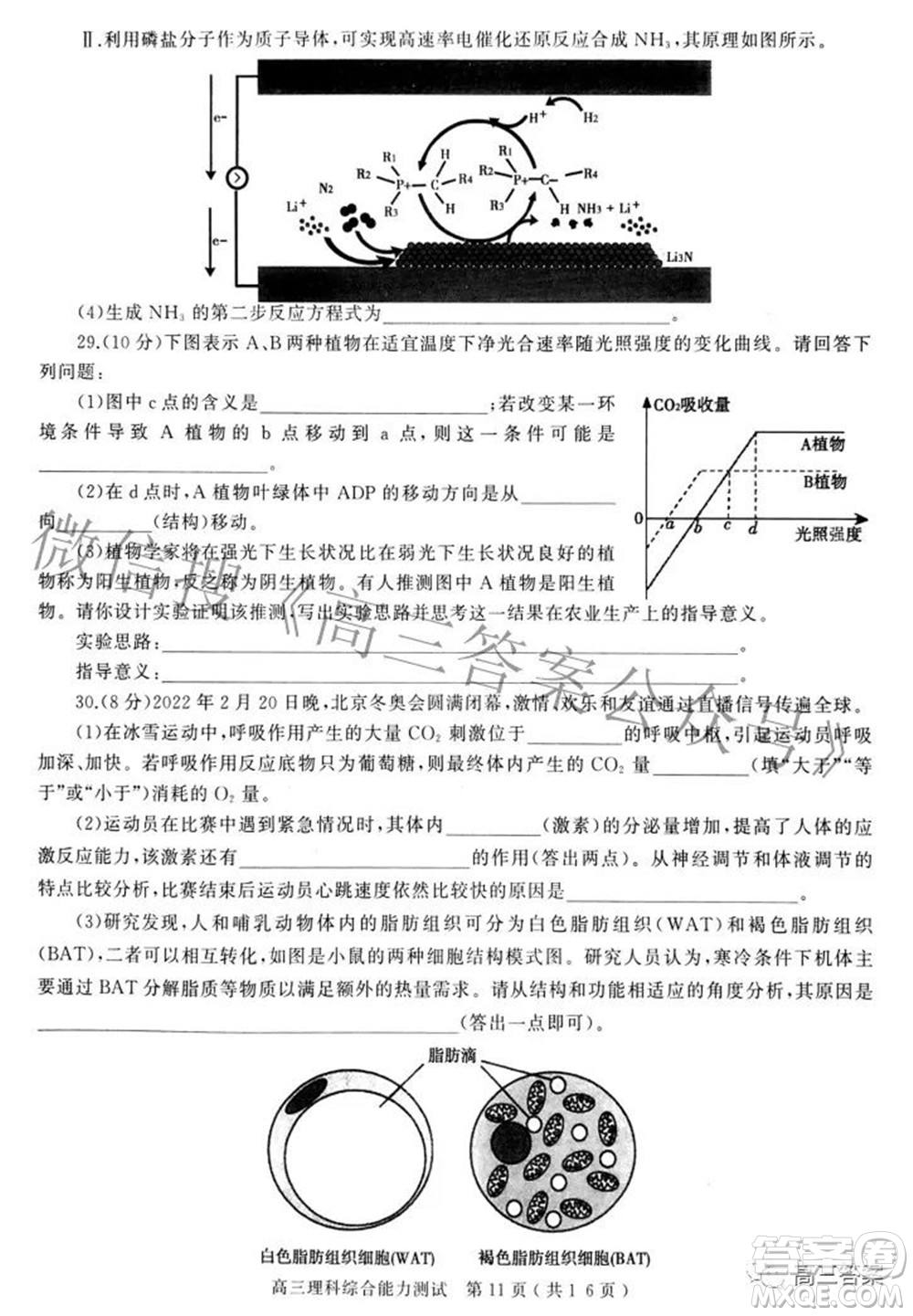 2022年河南省五市高三第二次聯(lián)合調研檢測理科綜合試題及答案