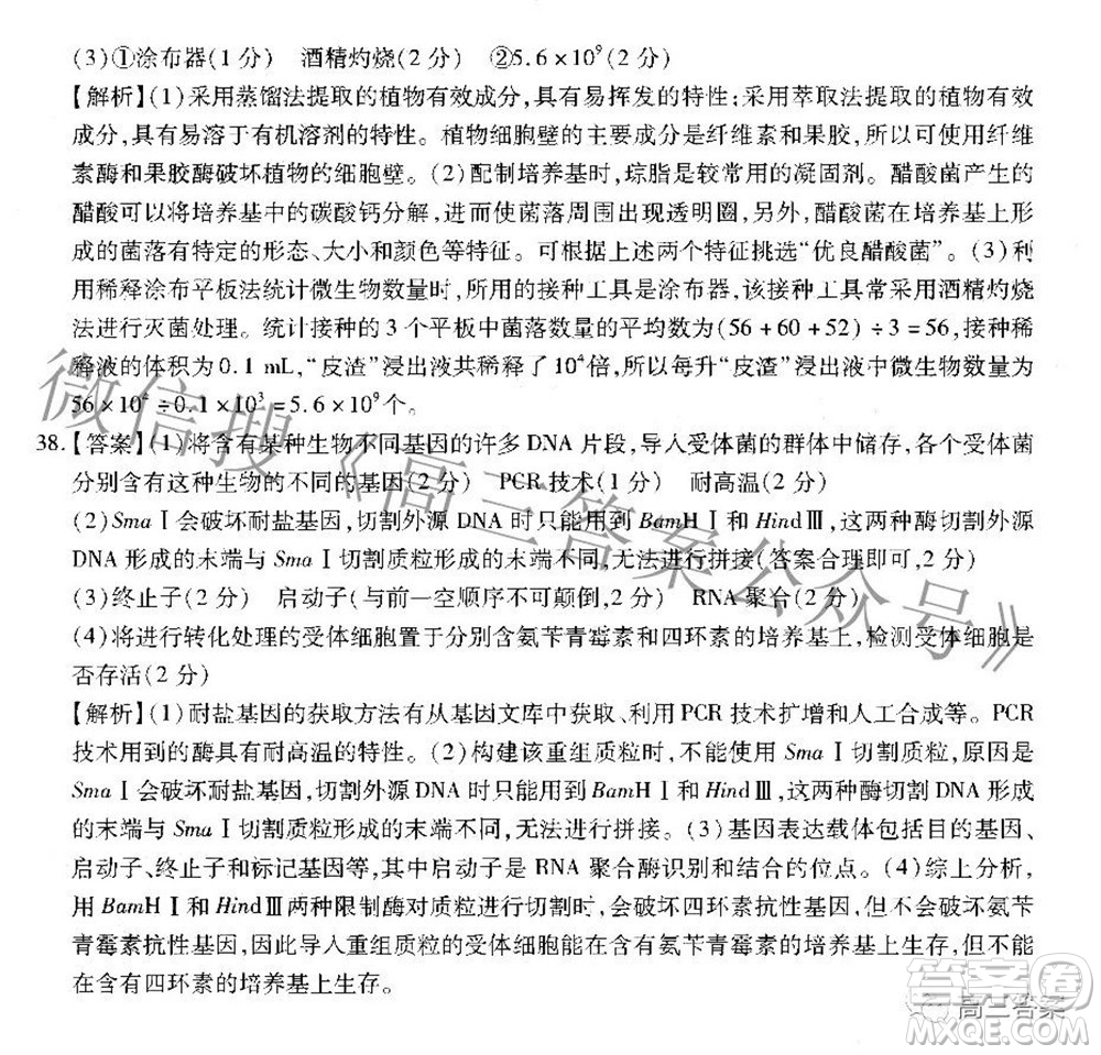 智慧上進2021-2022學年高三二輪復(fù)習驗收考試理科綜合答案