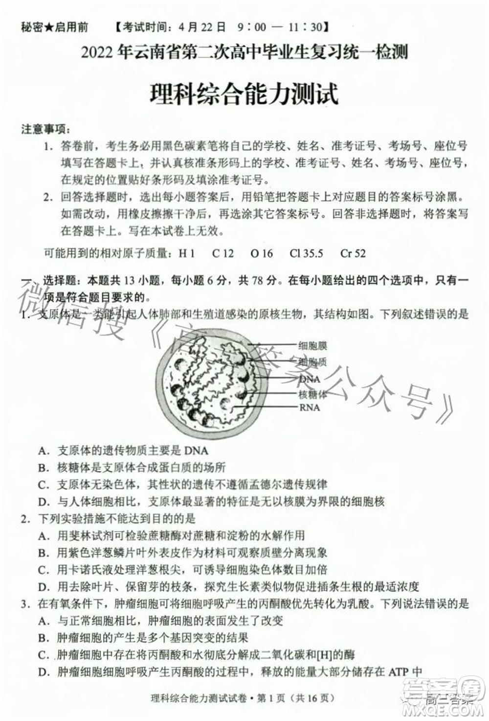 2022年云南省第二次高中畢業(yè)生復習統(tǒng)一檢測理科綜合試題及答案