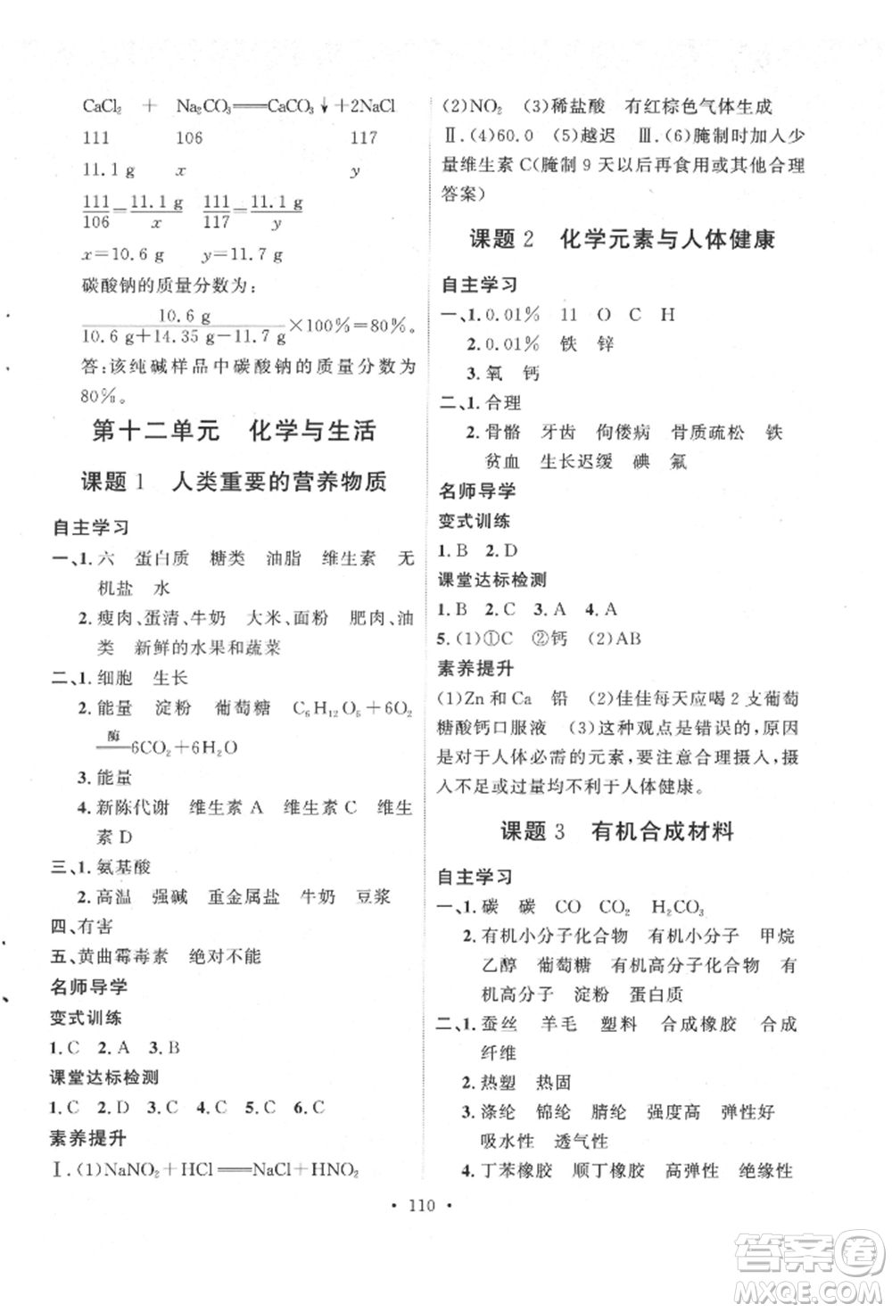 陜西人民出版社2022實(shí)驗(yàn)教材新學(xué)案九年級下冊化學(xué)人教版參考答案