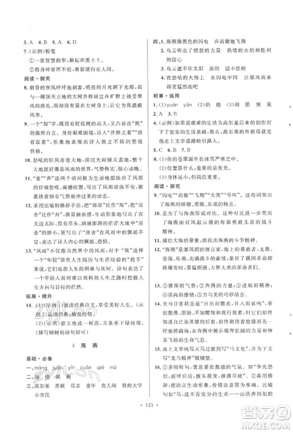 陜西人民出版社2022實(shí)驗(yàn)教材新學(xué)案九年級(jí)下冊(cè)語文人教版參考答案