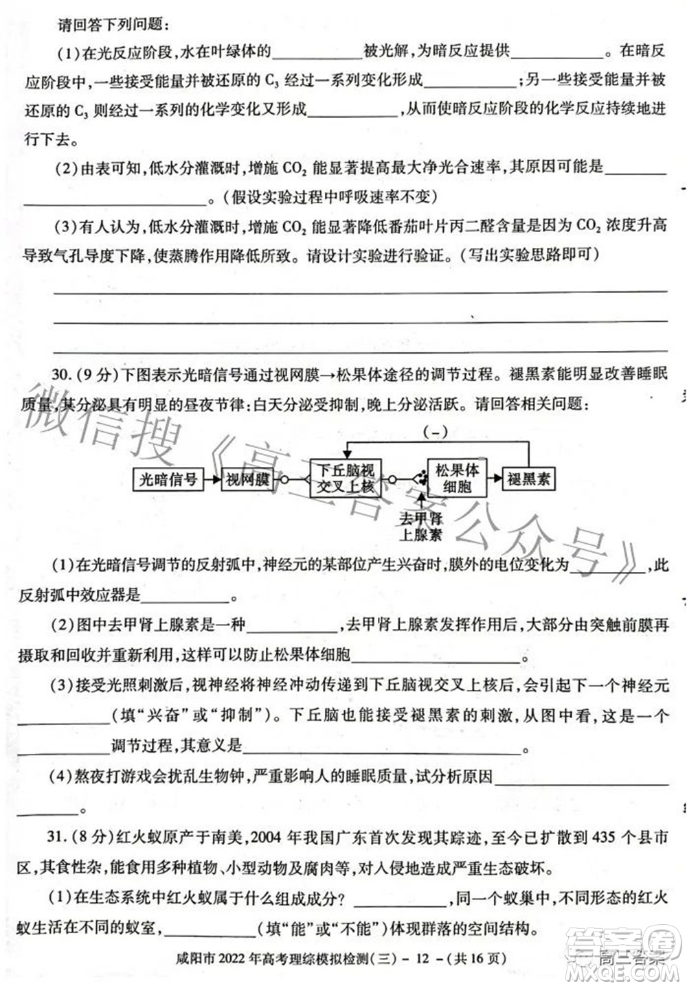 咸陽市2022年高考模擬檢測三理科綜合試題及答案