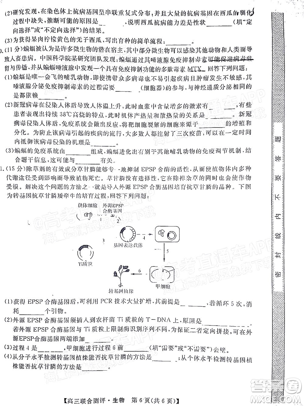 2022福建百校聯(lián)盟高三4月聯(lián)考生物試題及答案