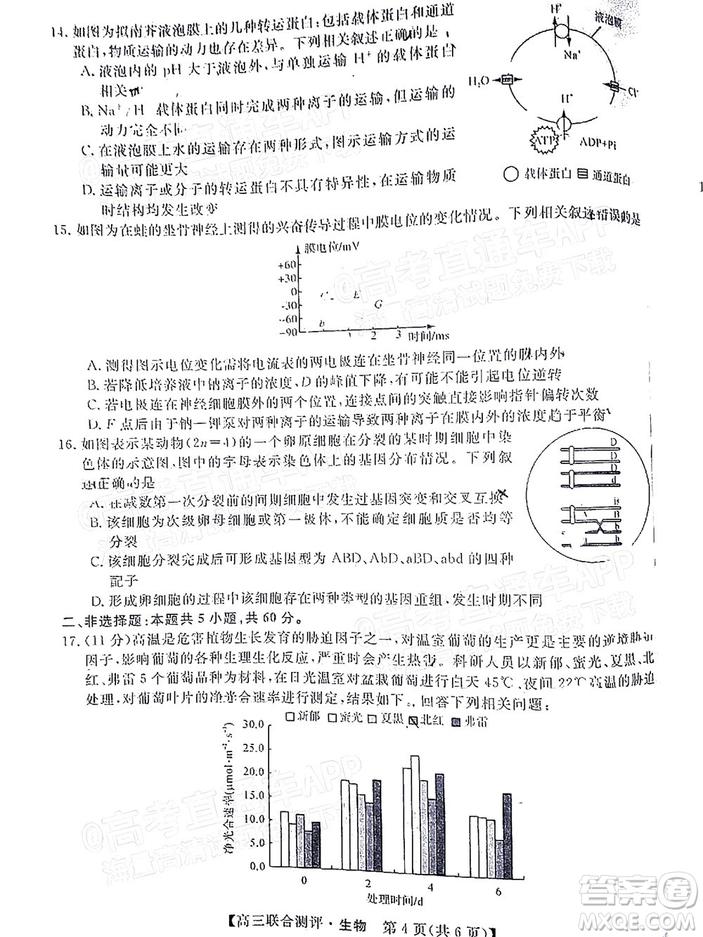 2022福建百校聯(lián)盟高三4月聯(lián)考生物試題及答案