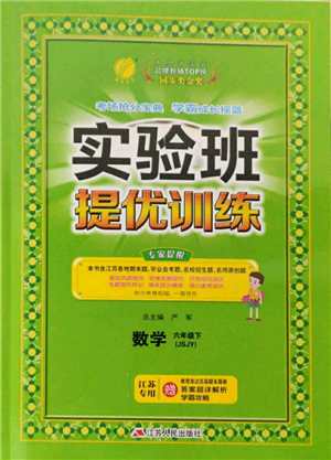 江蘇人民出版社2022實驗班提優(yōu)訓(xùn)練六年級下冊數(shù)學(xué)蘇教版江蘇專版參考答案