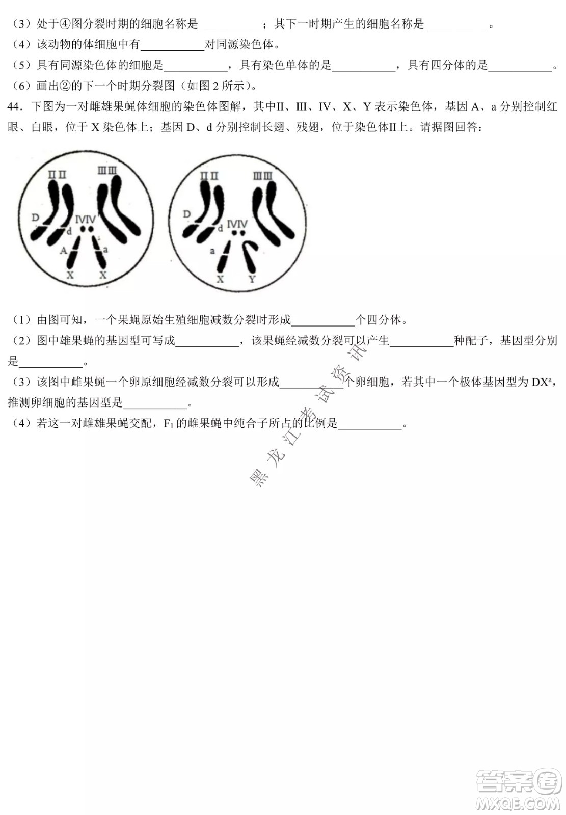 哈三中2021-2022學(xué)年度下學(xué)期高一學(xué)年第一次驗(yàn)收考試生物選考試卷及答案