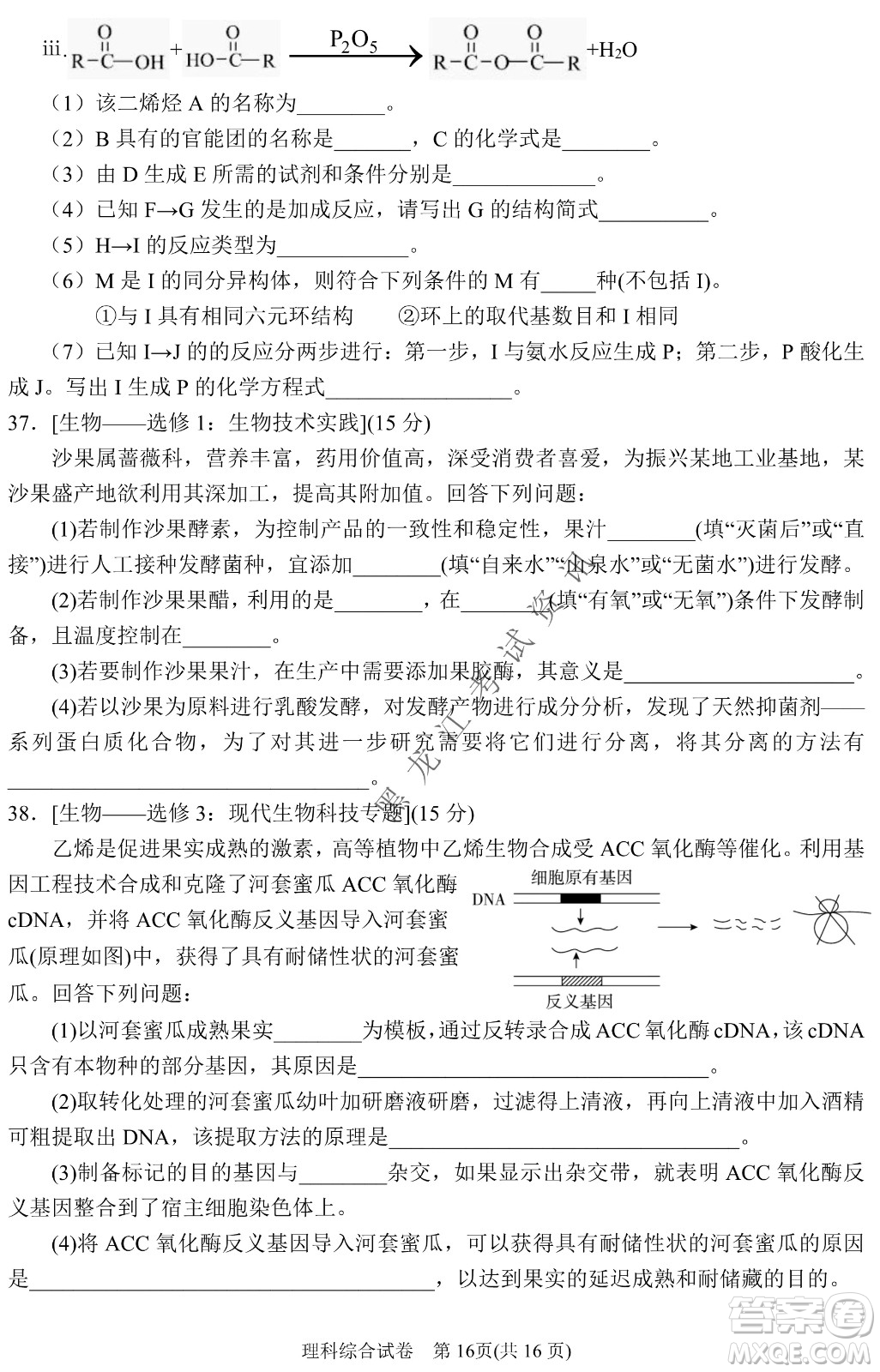 2022銀川一中第二次模擬考試理科綜合能力測試試卷及答案