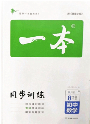 湖南教育出版社2022一本同步訓(xùn)練八年級數(shù)學(xué)下冊RJ人教版答案