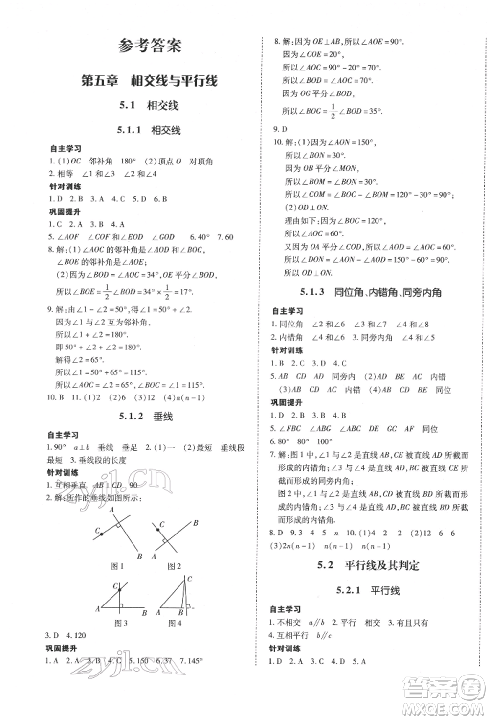 延邊大學(xué)出版社2022本土攻略七年級下冊數(shù)學(xué)人教版參考答案