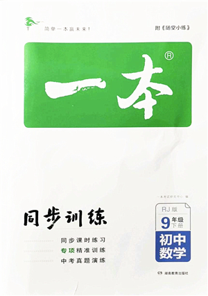 湖南教育出版社2022一本同步訓(xùn)練九年級(jí)數(shù)學(xué)下冊(cè)RJ人教版答案