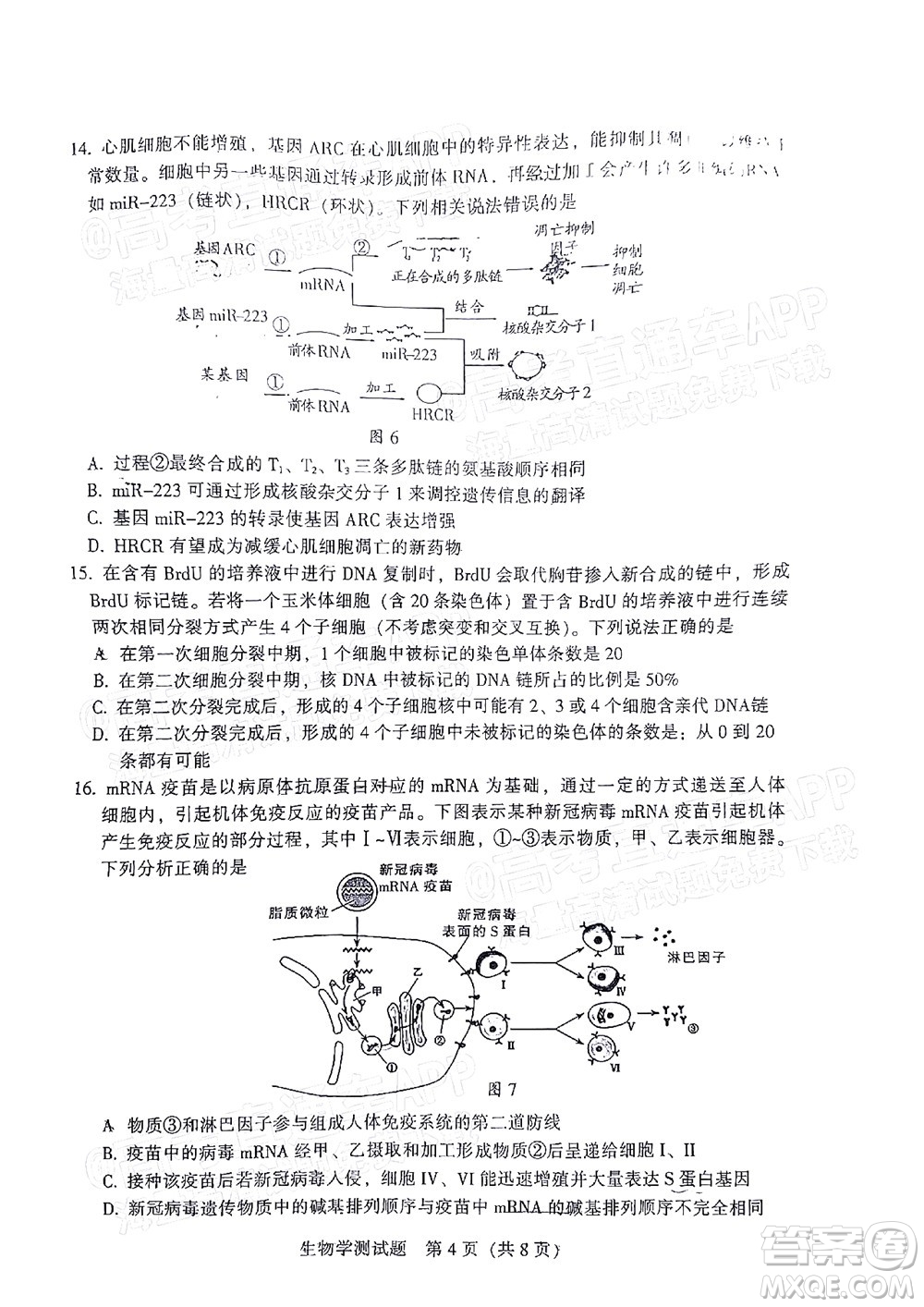 韶關(guān)市2022屆高三綜合測試二生物學試題及答案