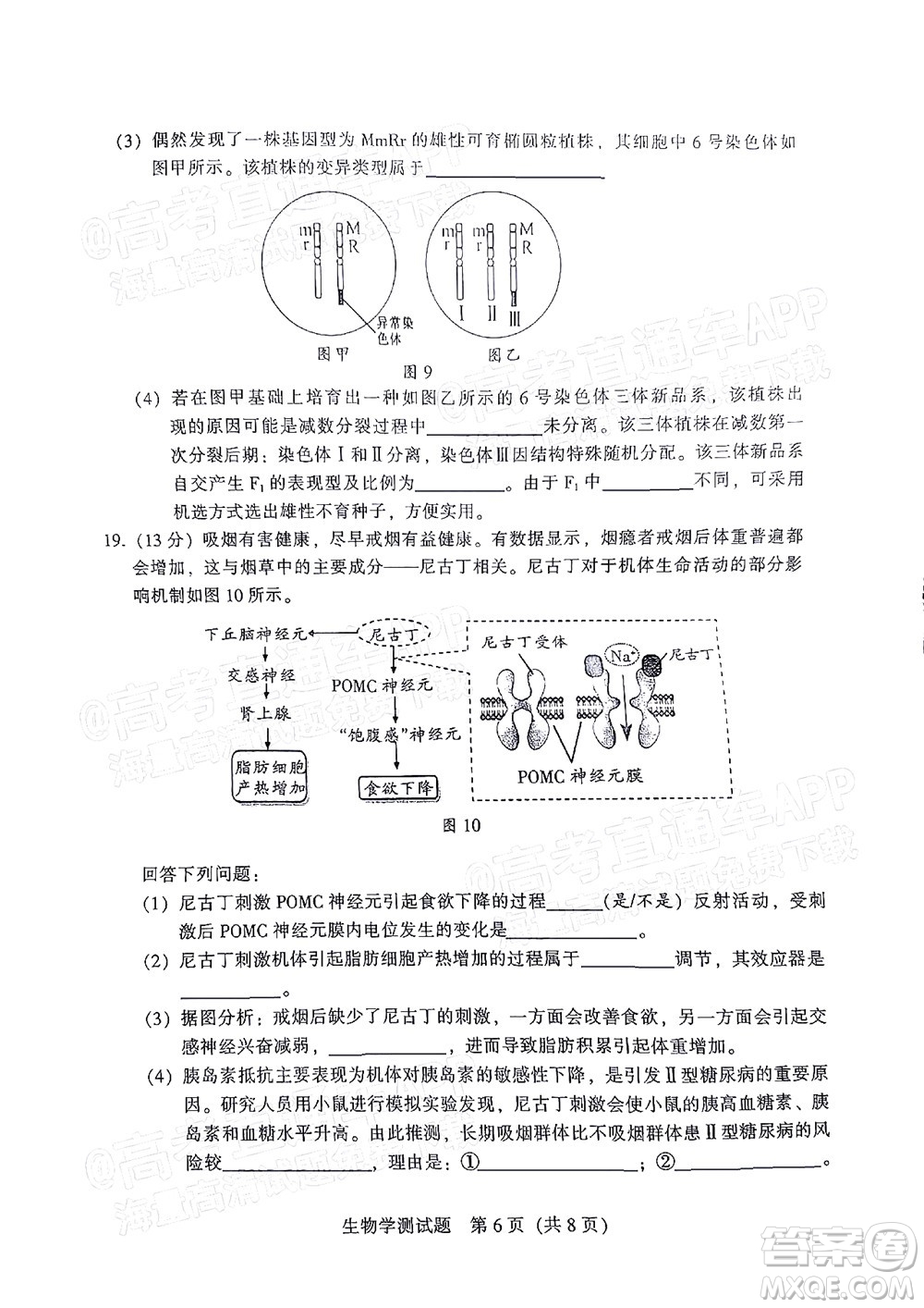 韶關(guān)市2022屆高三綜合測試二生物學試題及答案