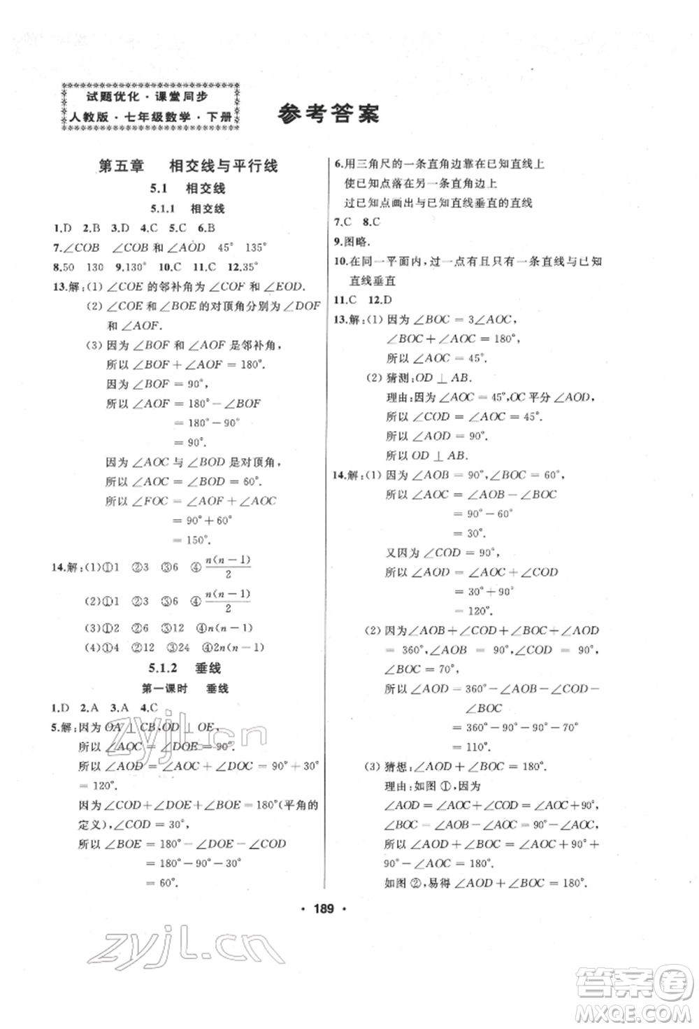 延邊人民出版社2022試題優(yōu)化課堂同步七年級下冊數(shù)學(xué)人教版參考答案