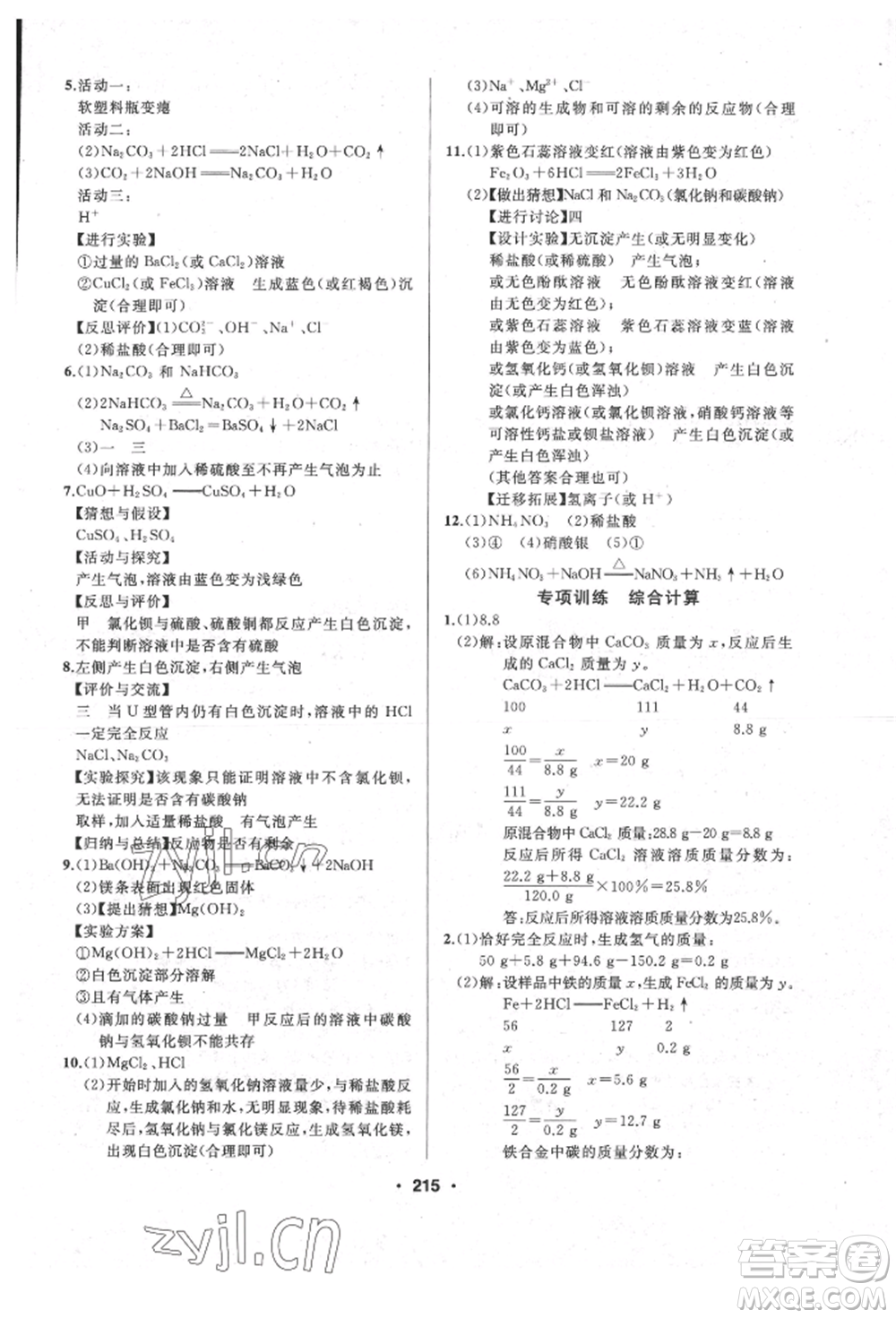 延邊人民出版社2022試題優(yōu)化課堂同步九年級(jí)下冊(cè)化學(xué)人教版參考答案