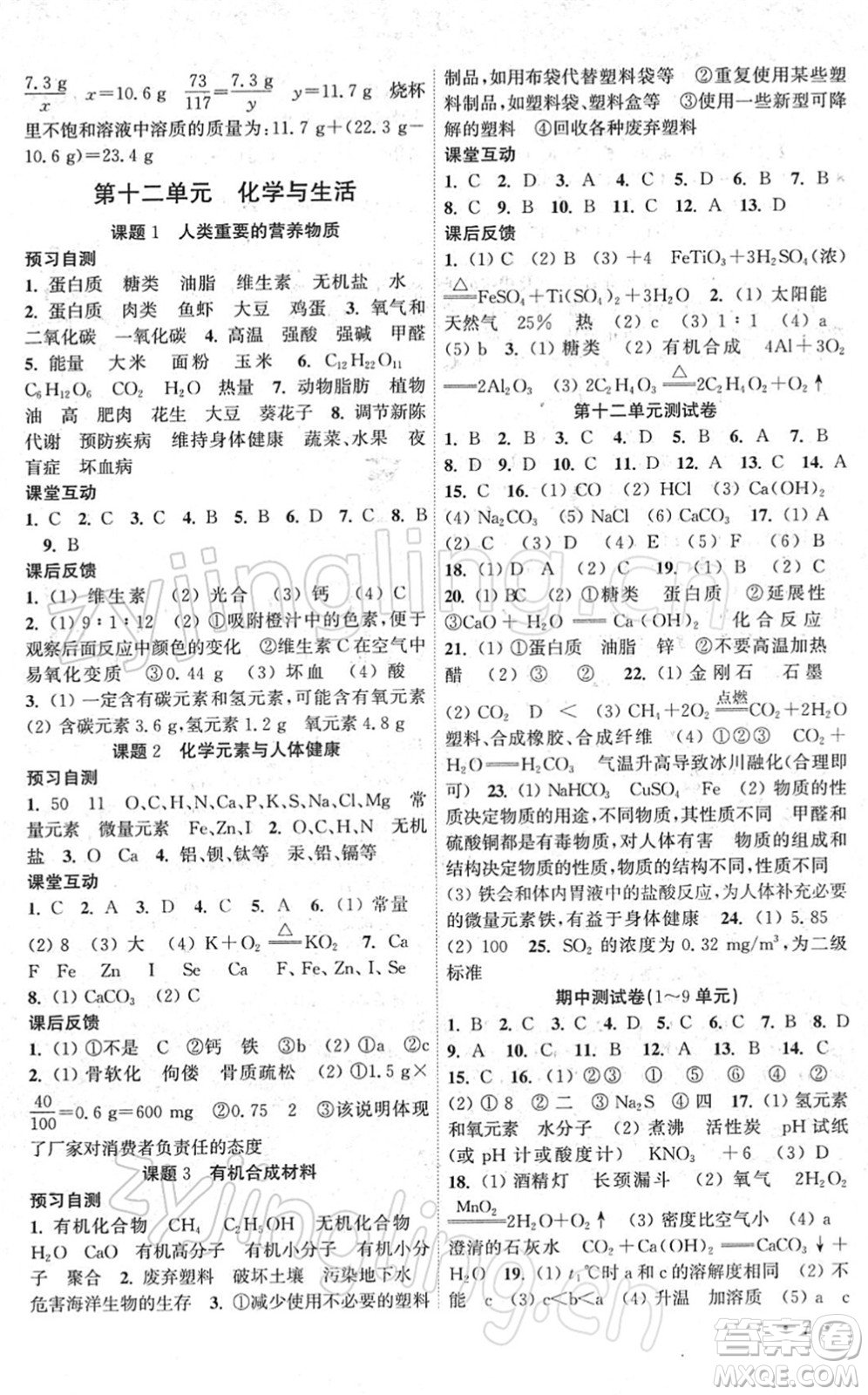 黃山書社2022高效精練九年級(jí)化學(xué)下冊(cè)人教版答案