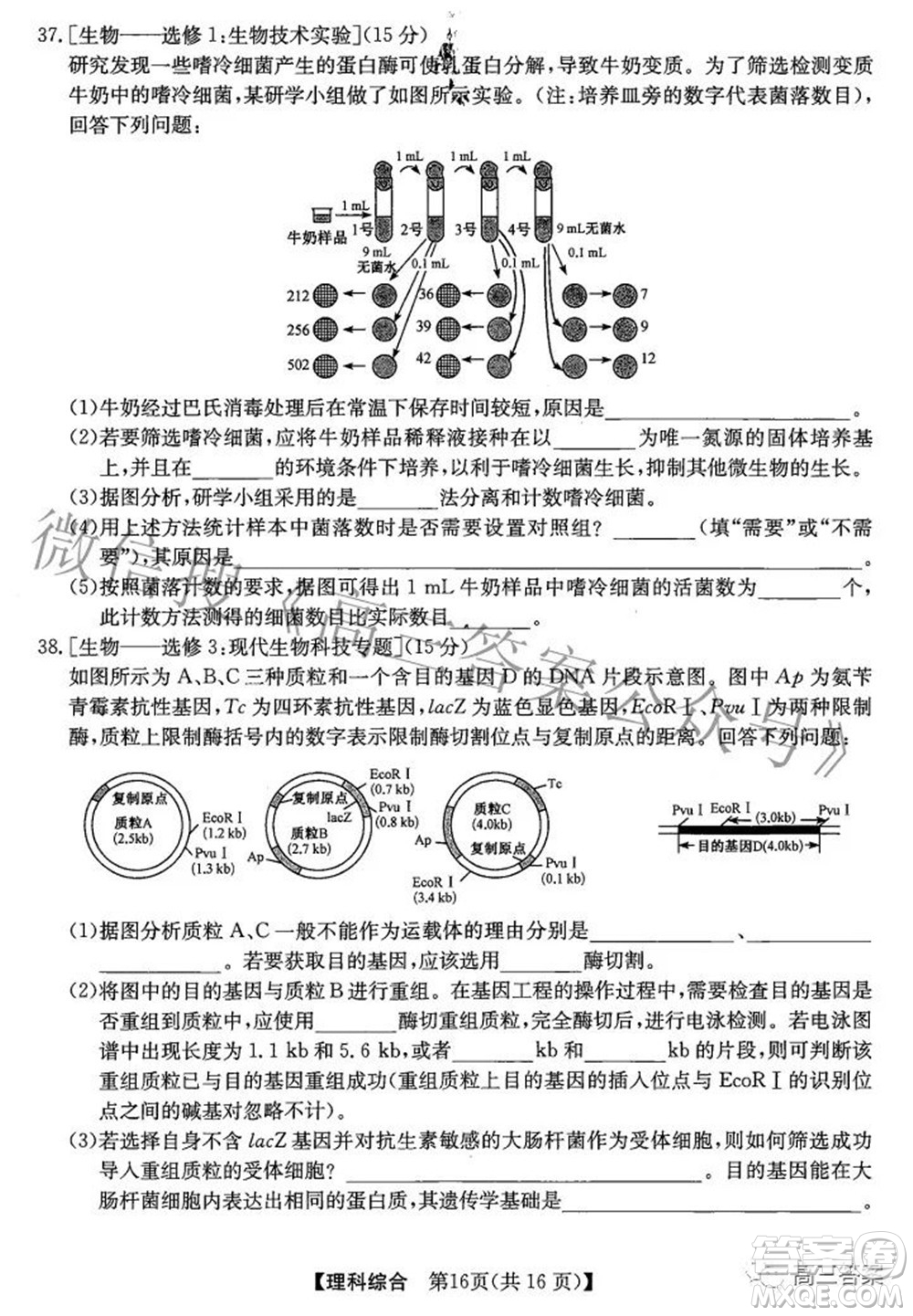 安徽省2022年高考考前適應(yīng)性考試?yán)砜凭C合試題及答案