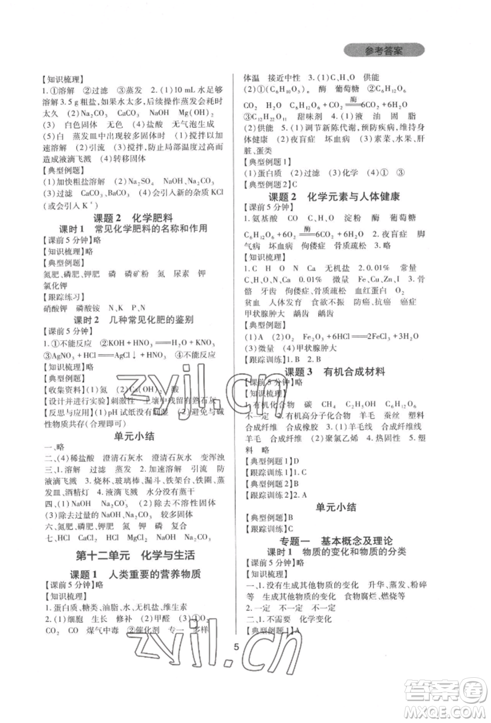 四川教育出版社2022新課程實(shí)踐與探究叢書九年級下冊化學(xué)人教版參考答案