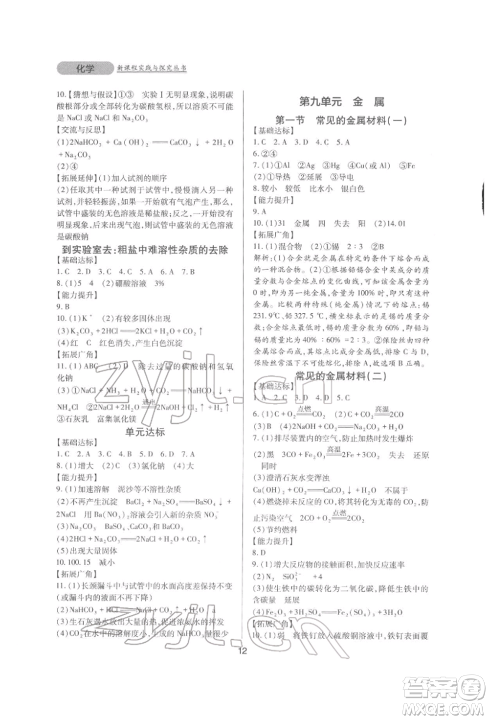 四川教育出版社2022新課程實(shí)踐與探究叢書九年級下冊化學(xué)山東教育版參考答案